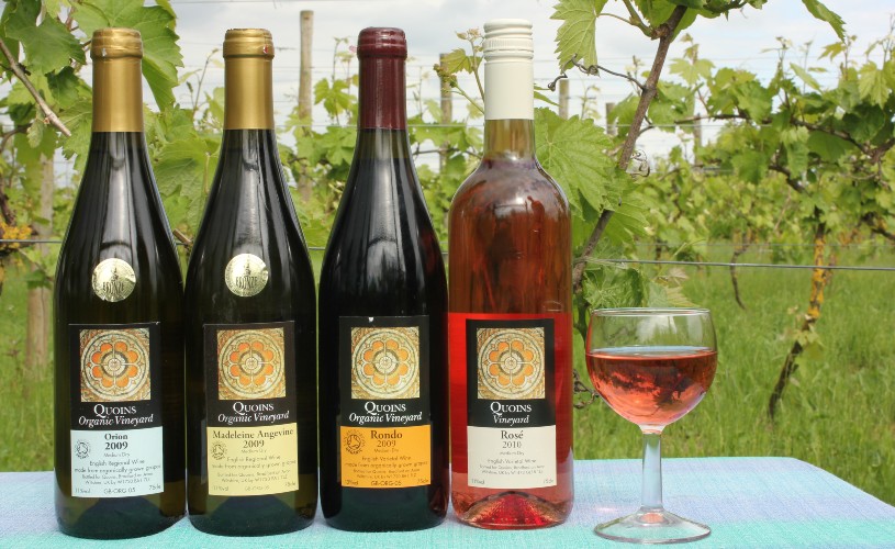 Quoins Organic Vineyard - Wine Bottles